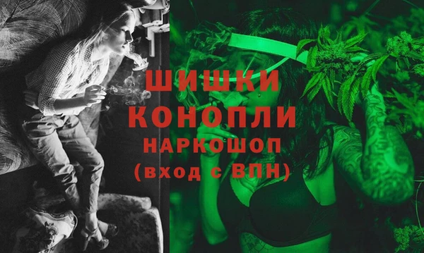 крисы Магас