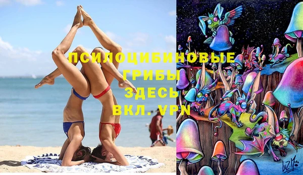 крисы Магас
