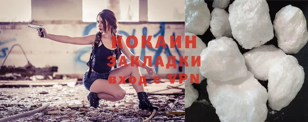 индика Ижевск