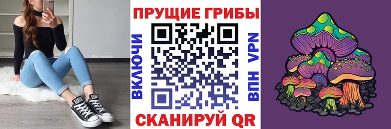 Галлюциногенные грибы Psilocybine cubensis  Староминская 